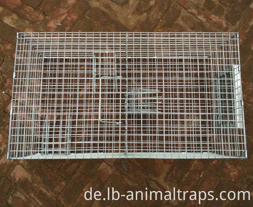 Repeating Control Trap Wire Cage